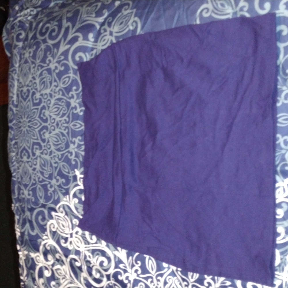 X small wet seal skirt